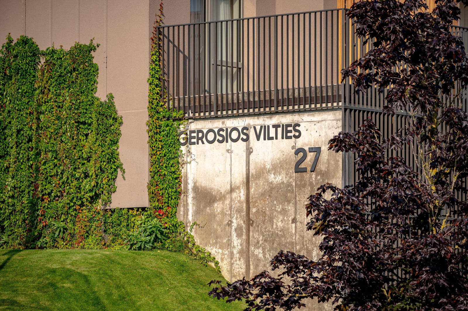 The street number of the Vilnius building by SAVO cast into the wall, GEROSIOS VILTIES 27, beside a wall of climbing greenery